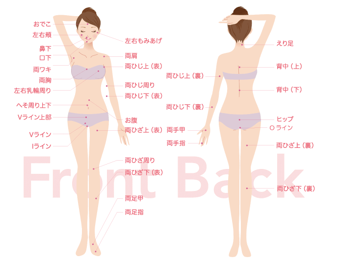 シースリー（C3）山口店は全身53ヶ所脱毛